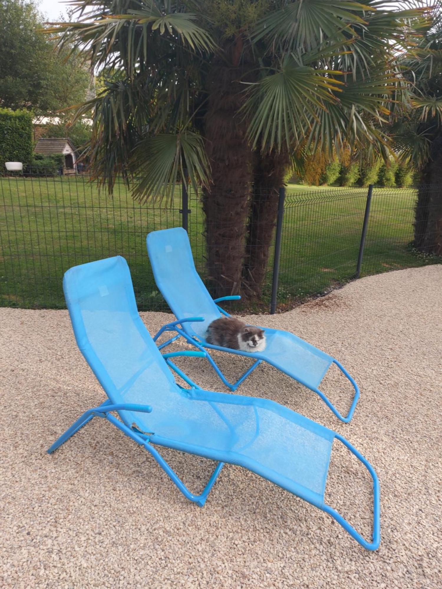 Le Paradis Bleu Bosville Екстер'єр фото